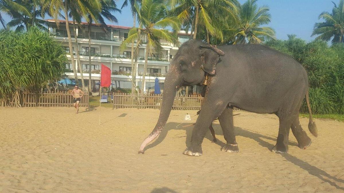 Blue Beach Hotel Wadduwa Esterno foto